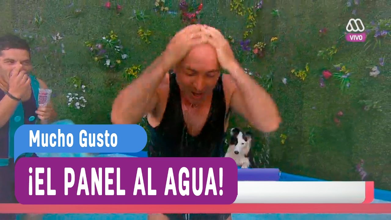 La pool party del panel - Mucho Gusto 2016