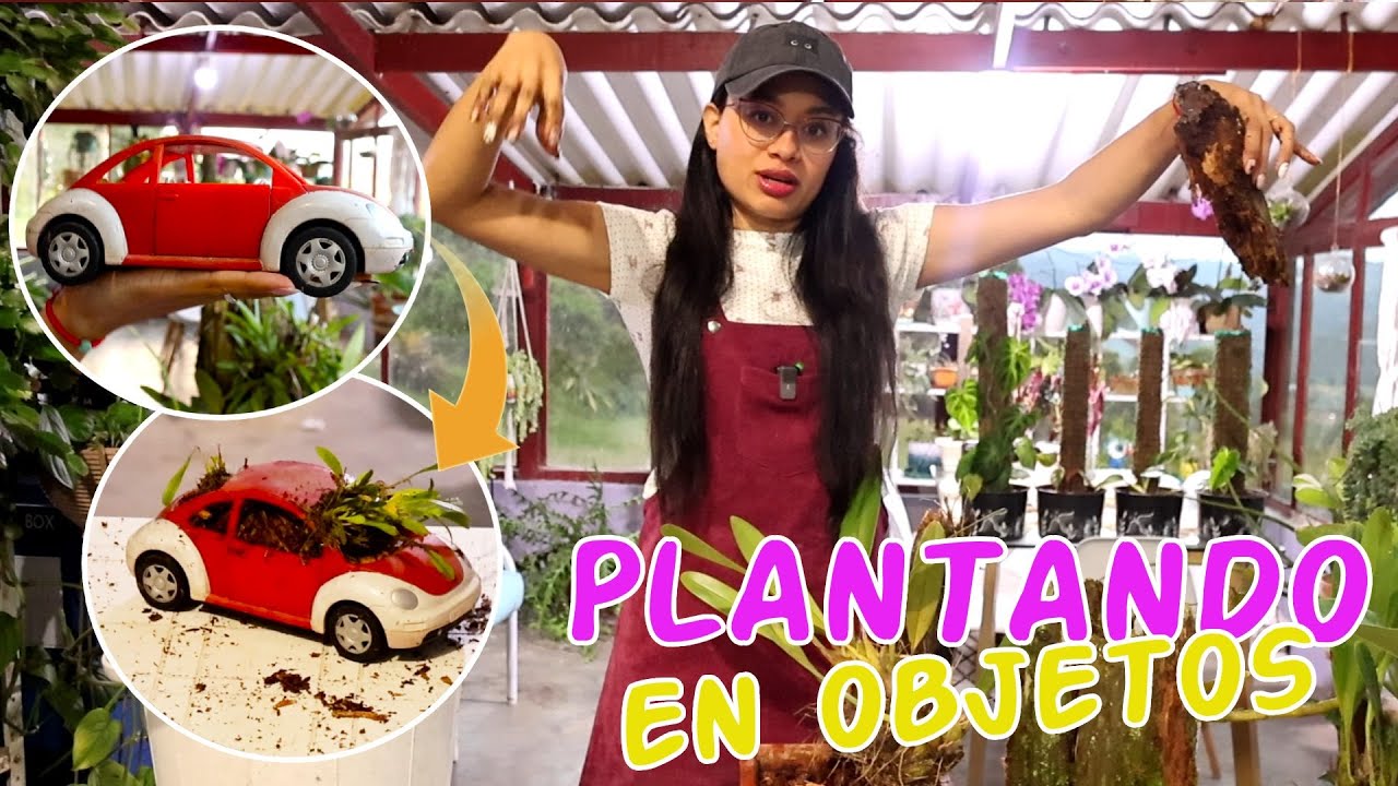 PLANTANDO ORQUÍDEAS en objetos reciclados │Candy Bu