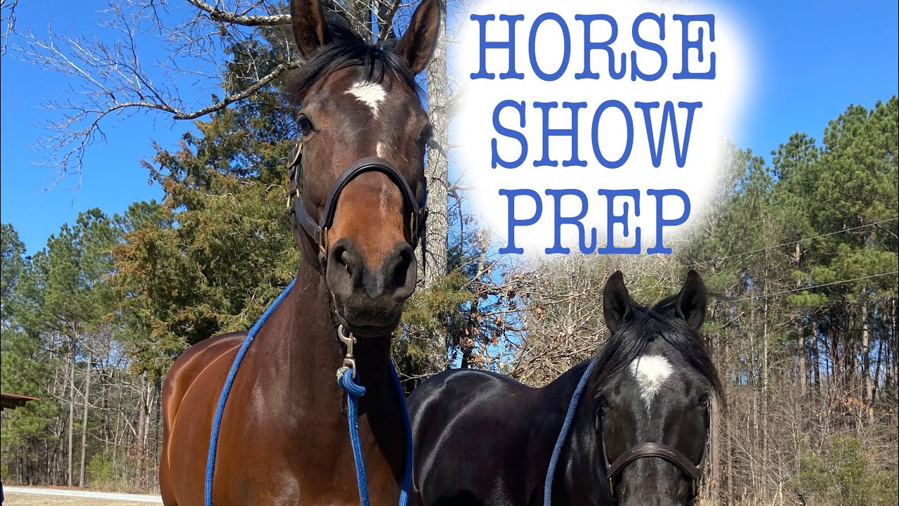 Horse Show Prep with 2 Horses 🐴🐴