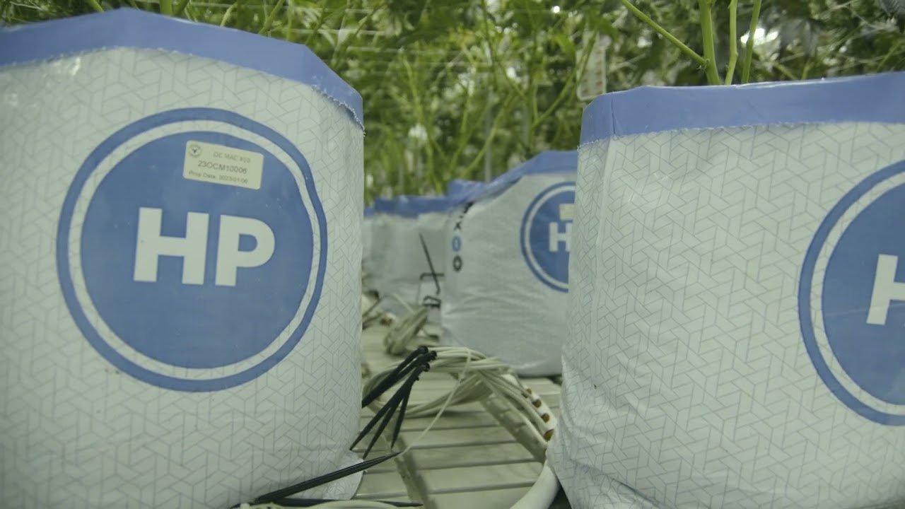 PRO-MIX&reg; HP&reg; MYCORRHIZAE Open Top Grow Bags - Work Less and Grow More!