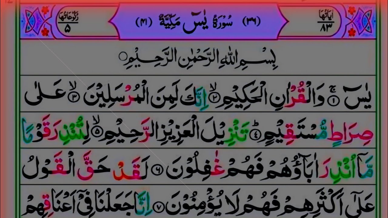 Most Beautiful Recitation of Surah Yasin//Surah Yaseen Relaxing Recitation//