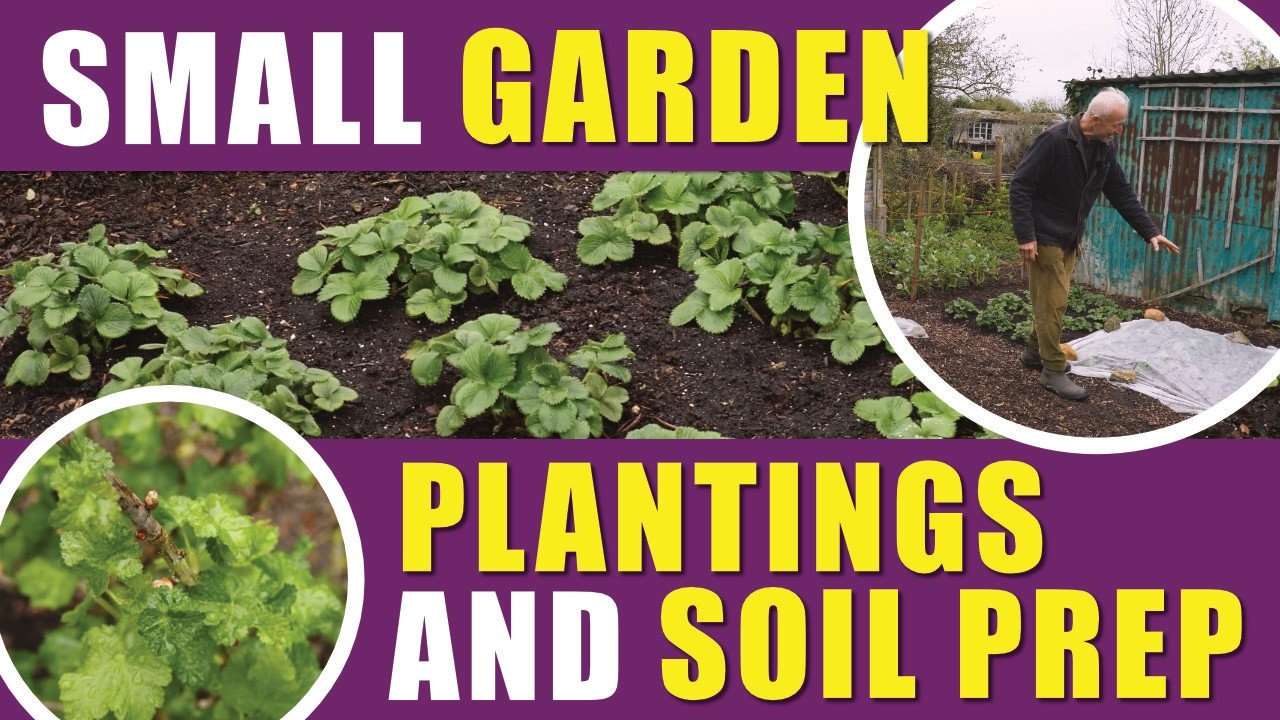 Small Garden plantings and soil maintenance in early spring