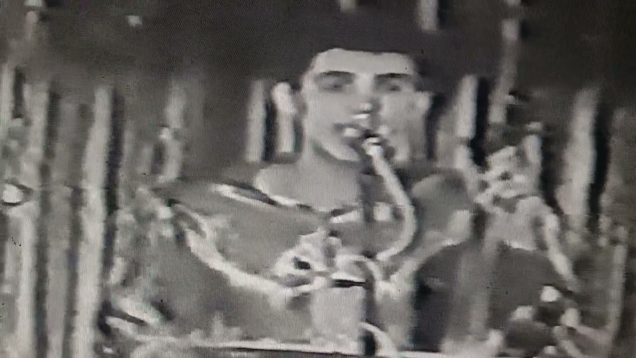 مجموعة نجوم نجوم  بوركون