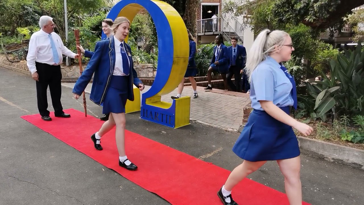 Omega Harties 2019