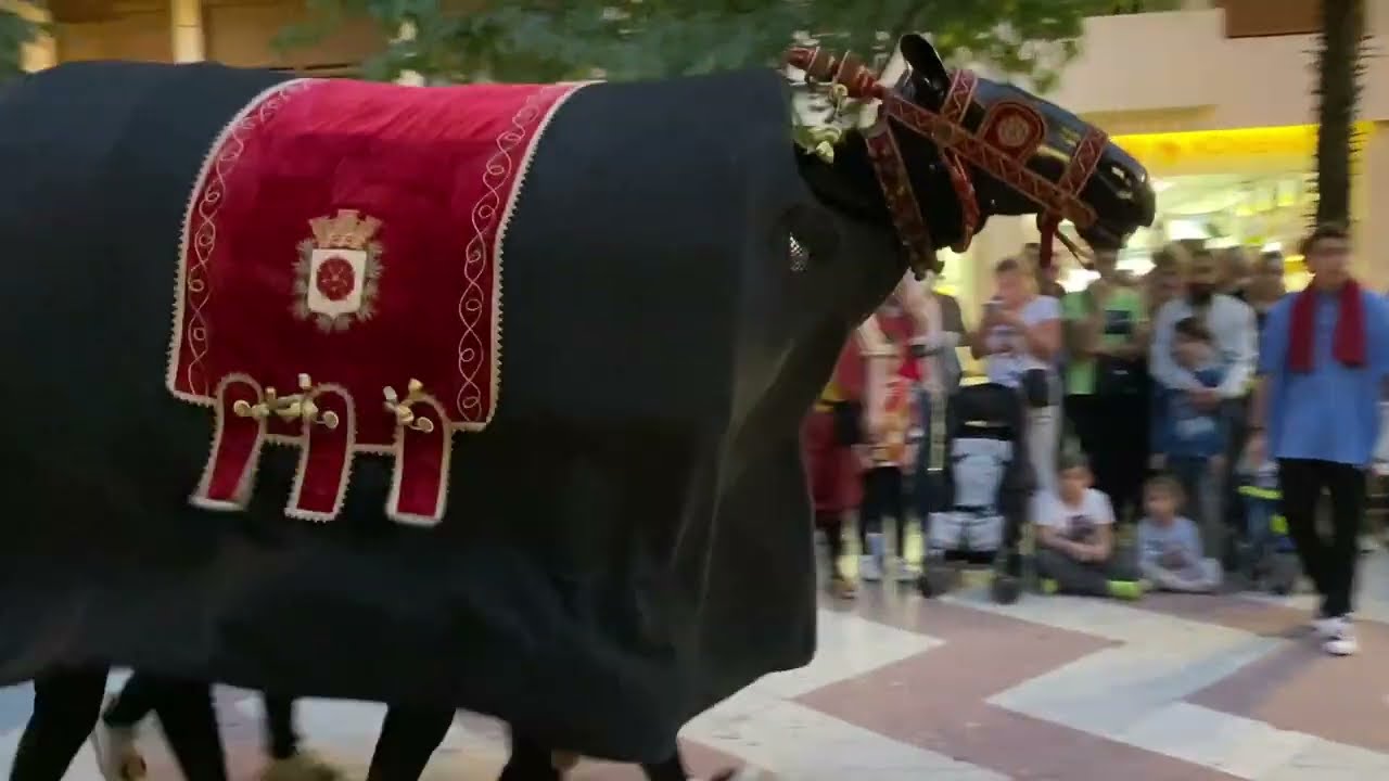 Mulassa de Reus | Aplec de Bestiari a Ontinyent 2022