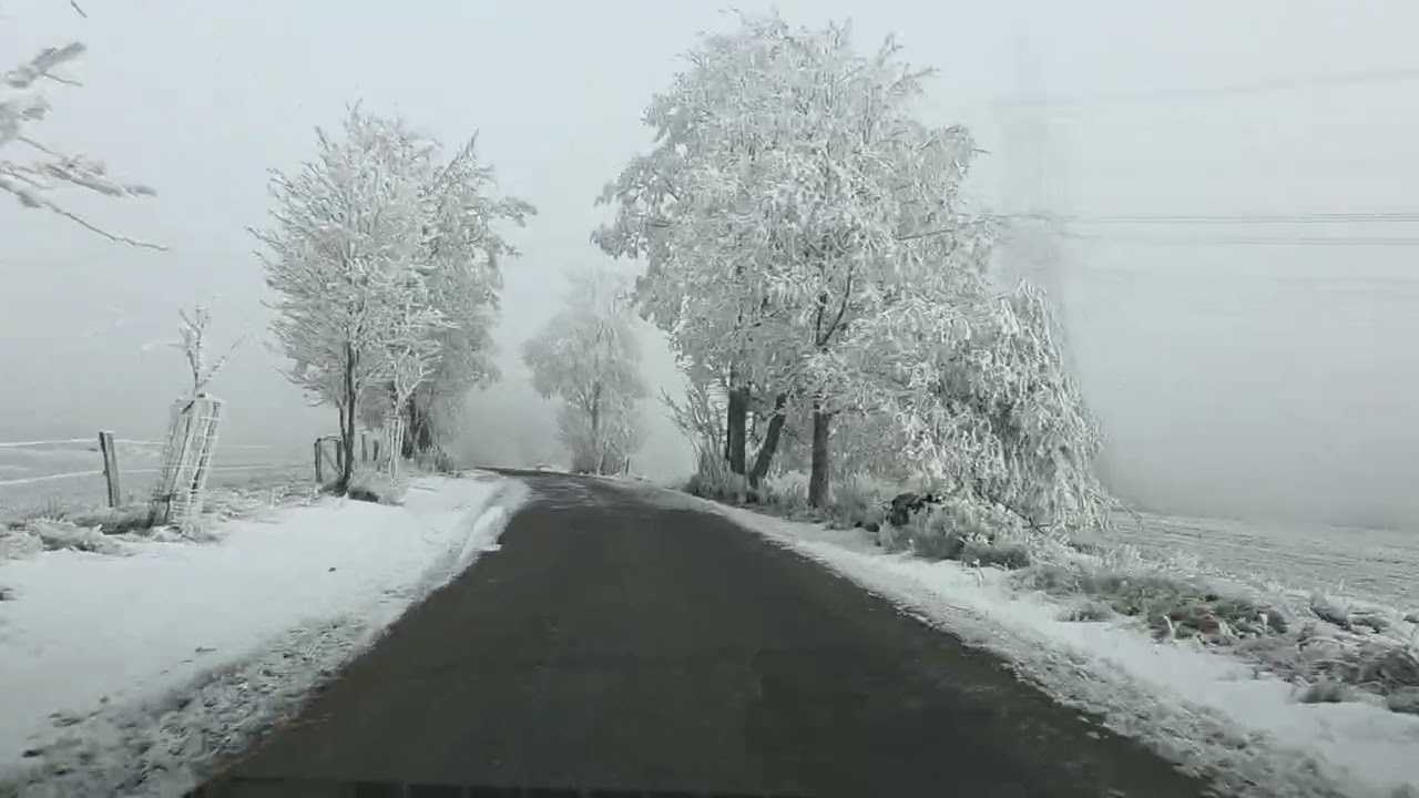 Волшебный Славковский лес!!! Покатаемся?!