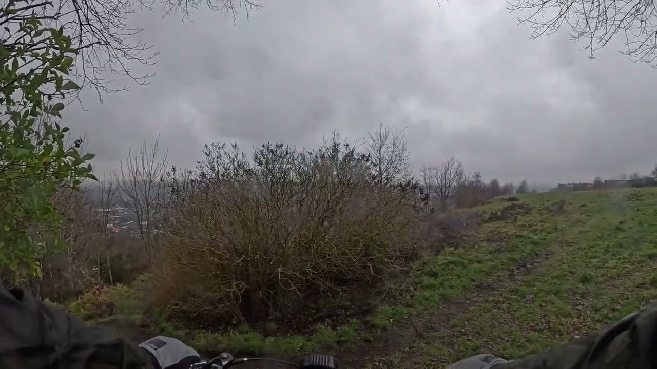 Promote EMTB Local Trails get bitten by a dog