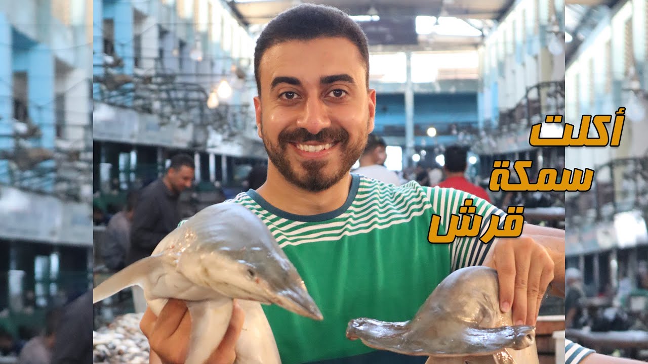 shark أكلت سمكة قرش وأغرب سمكة في العالم