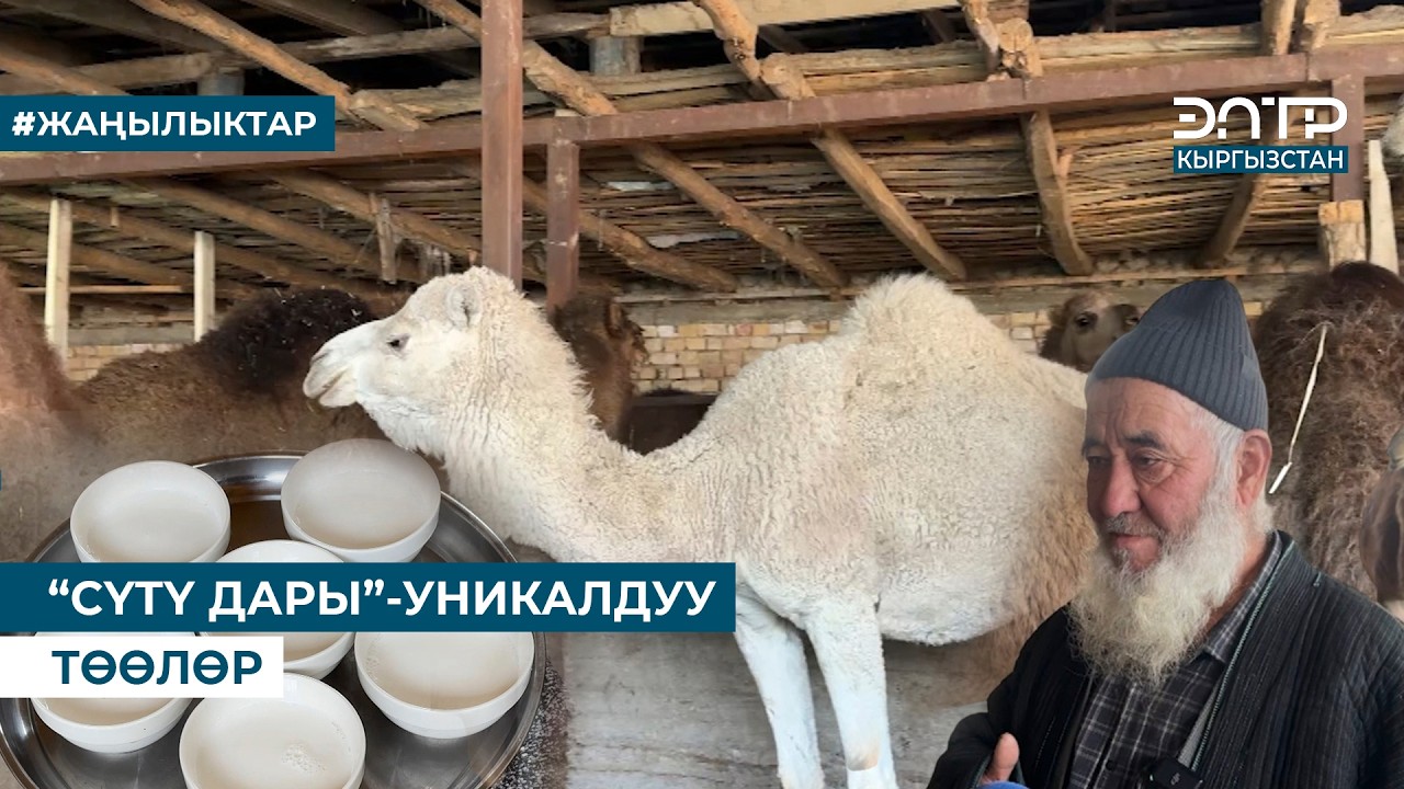 ТӨӨ БАККАН ФЕРМЕР