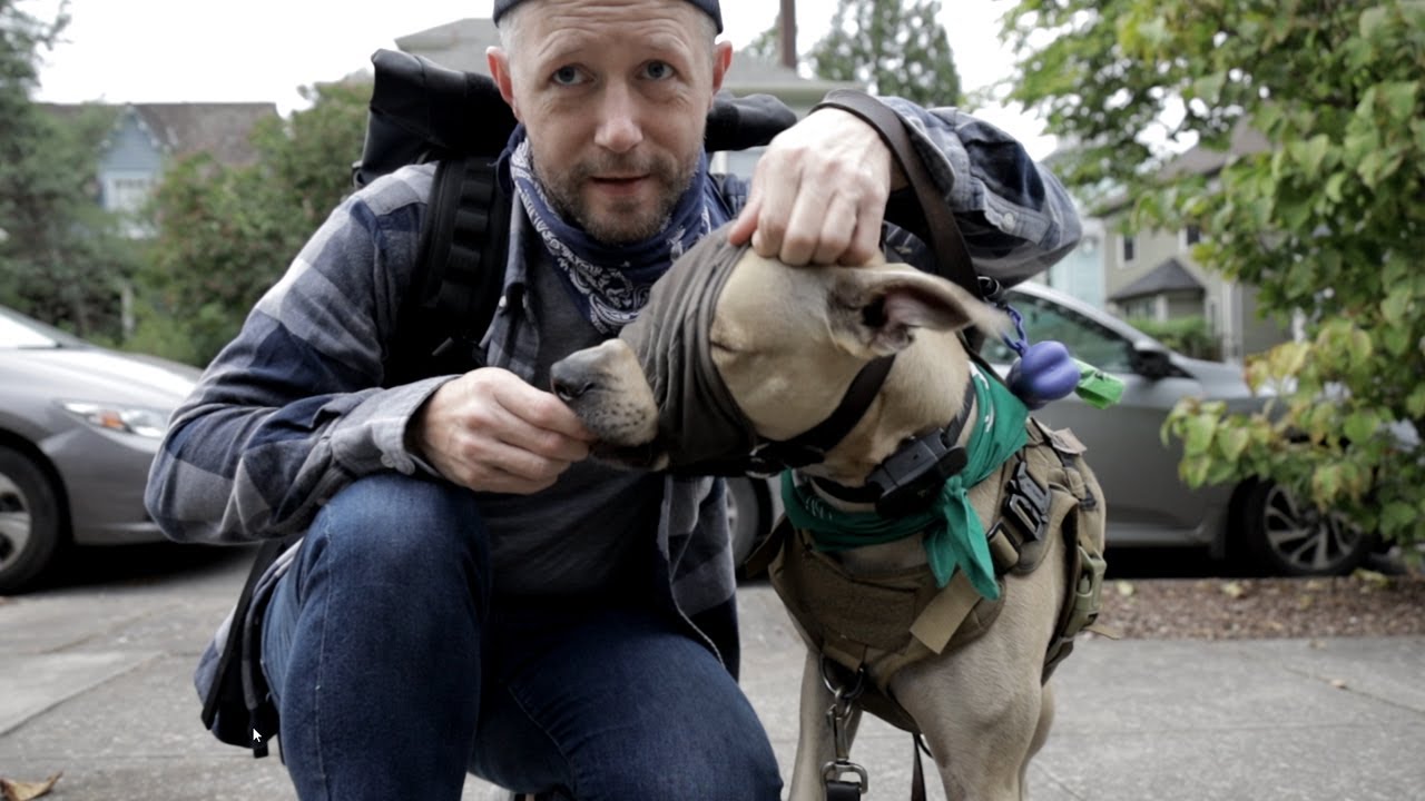 The CalmingCap helped my REACTIVE dog | vlog 02