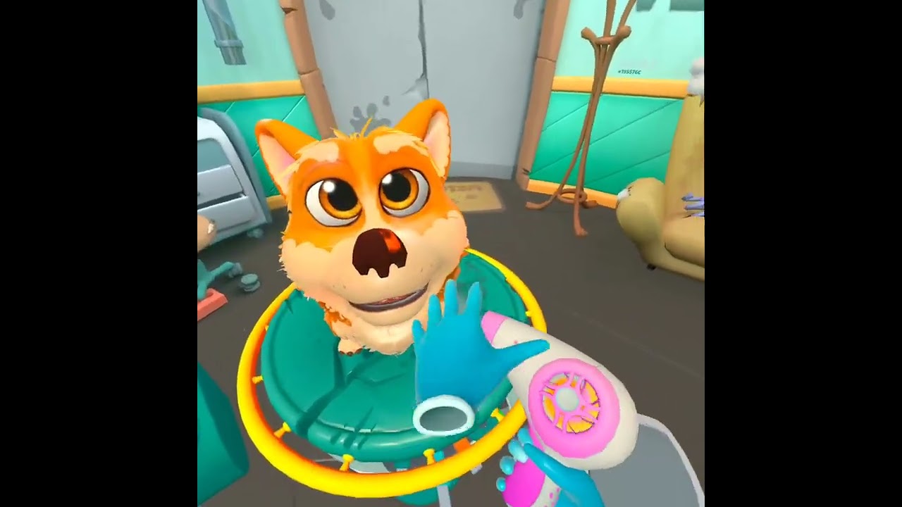 PETS AND STUFF OYNUYORUZ