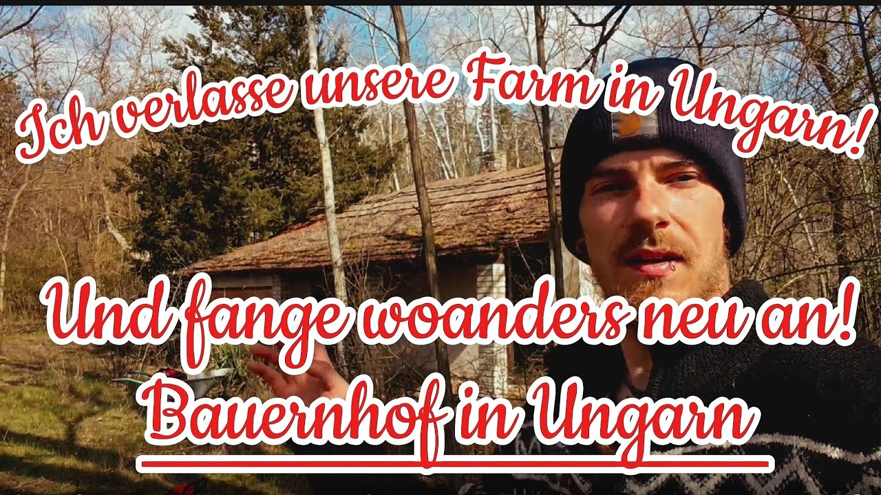 Neues GRUNDST&Uuml;CK in #UNGARN ??? 🇭🇺Verlassene #RUINE wird zum wundersch&ouml;nen #BAUERNHOF 🏚️#ungarn 🏚️