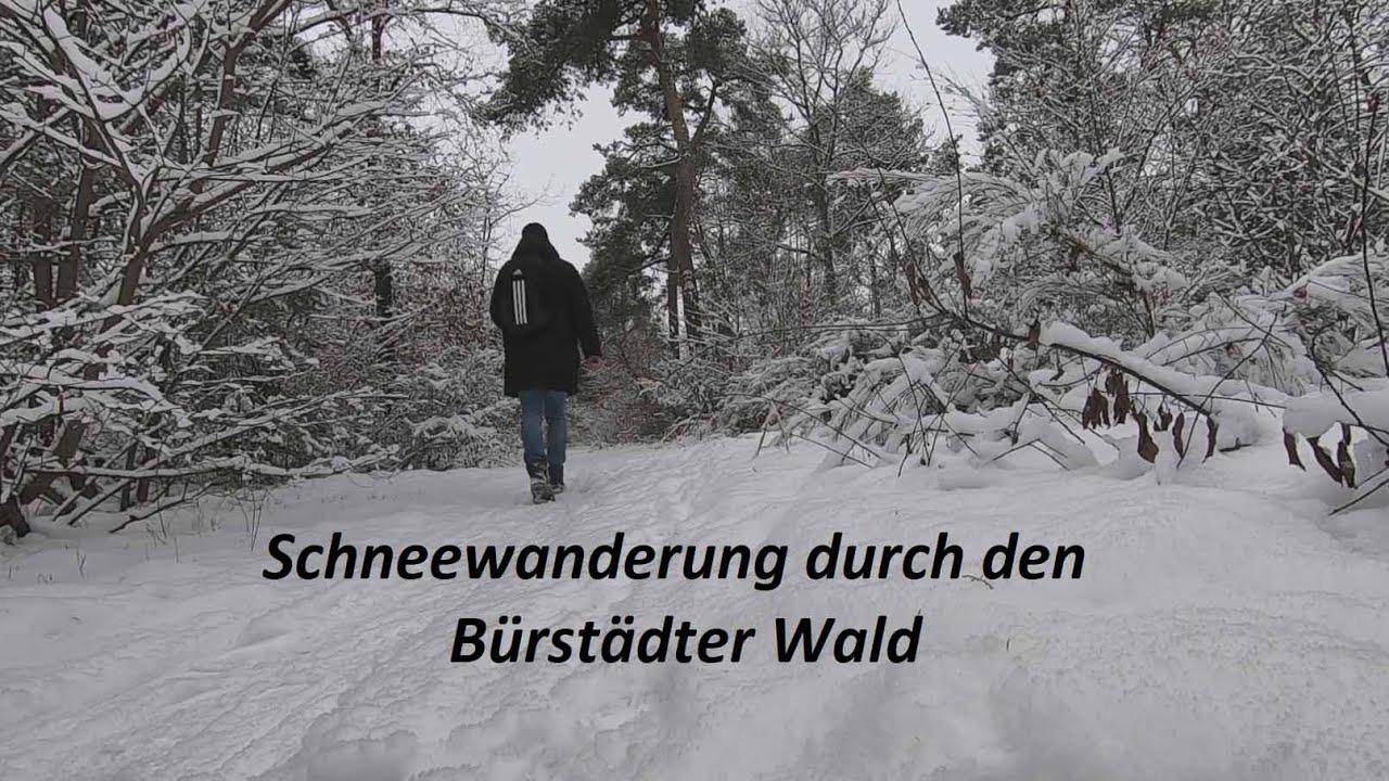 Schneewanderung durch den Bürstädter Wald 2026