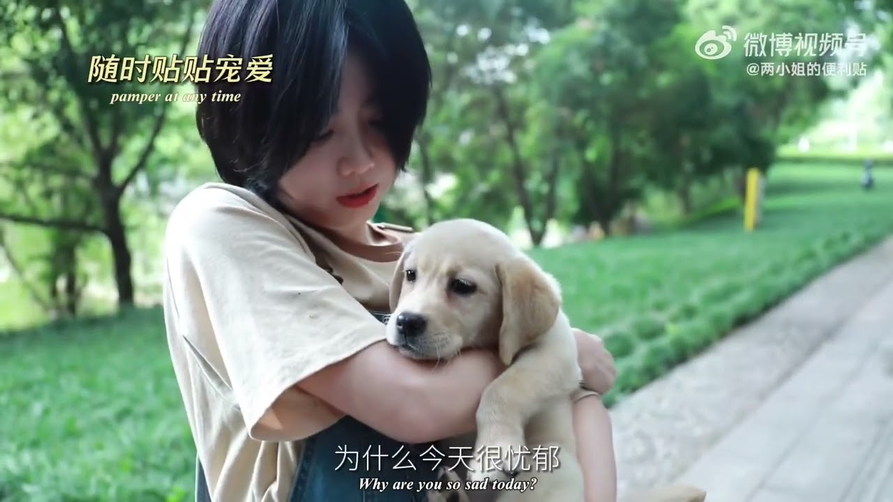 #谭松韵 【#再见李可乐 】李妍的成长日记｜#seventan #tansongyun 【#solongforlove 】Li Yan's growth diary