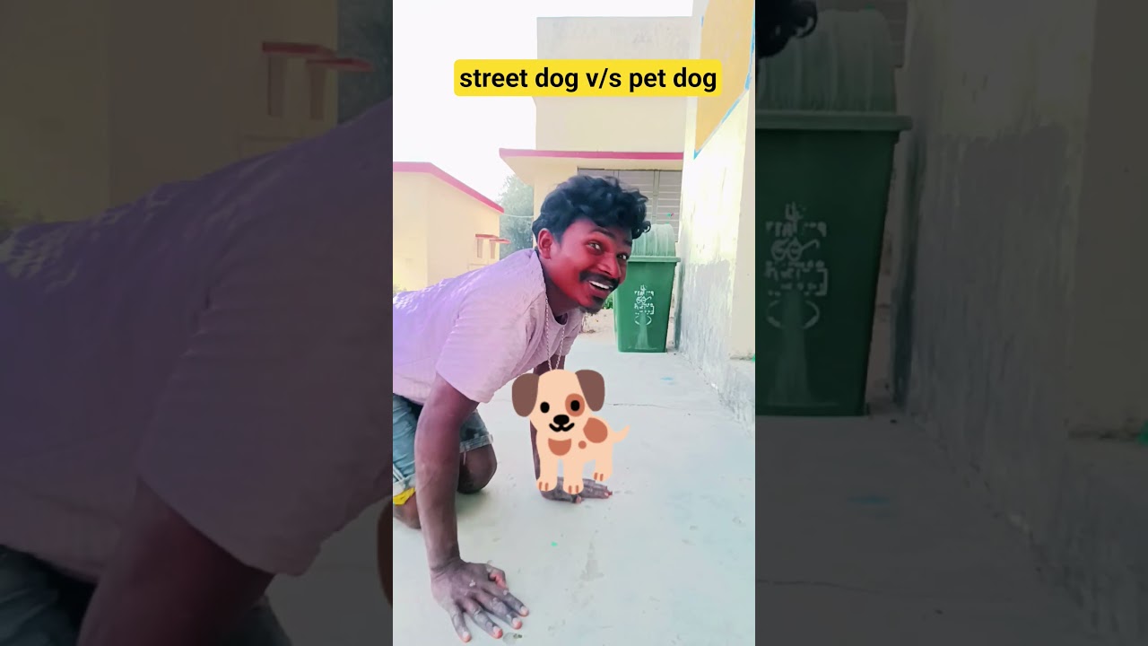street dog v/s pet dog🐕🐕&zwj;🦺|Indian family #shorts #comedy #funny #indian #trending #viral #dog