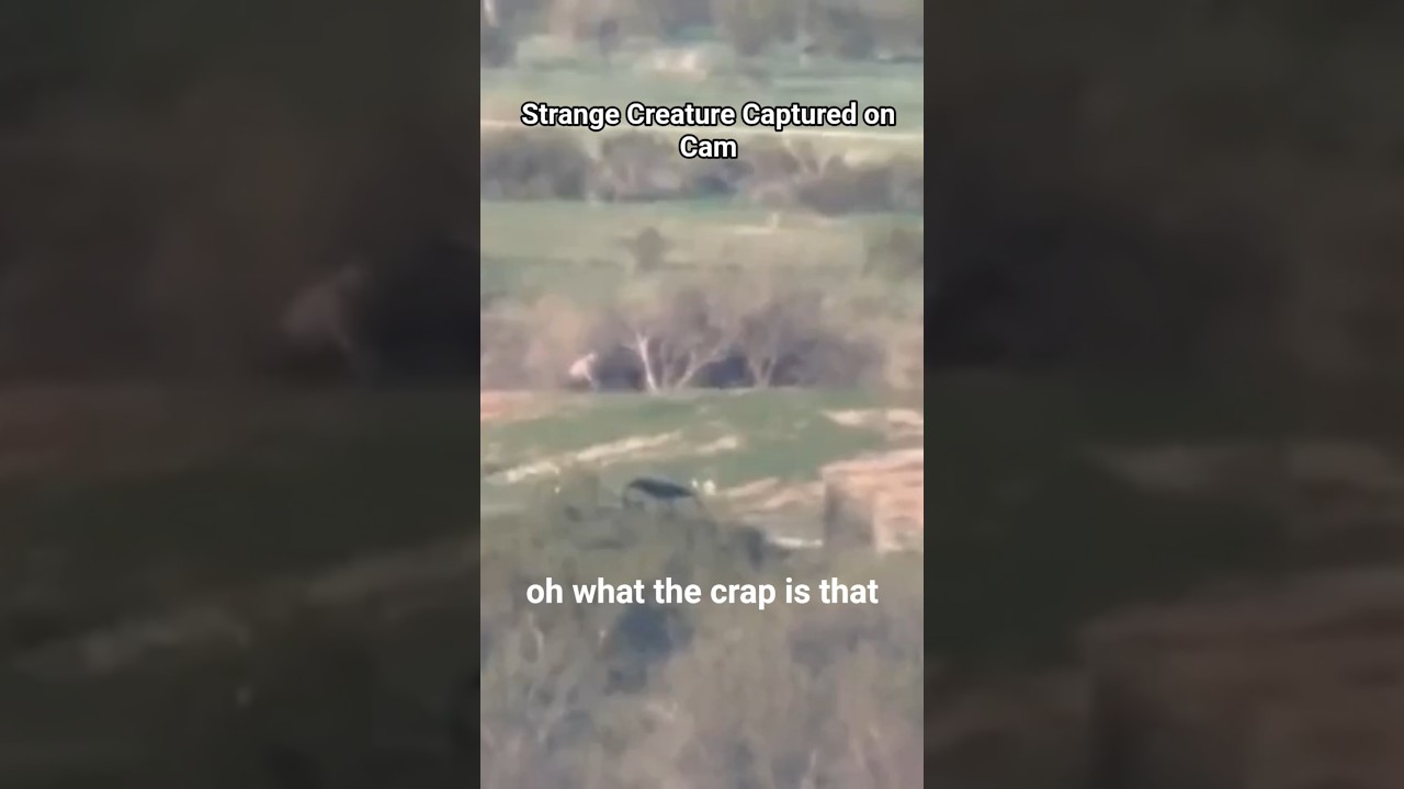 (REAL) Strange Cryptic Creature Caught on Camera 