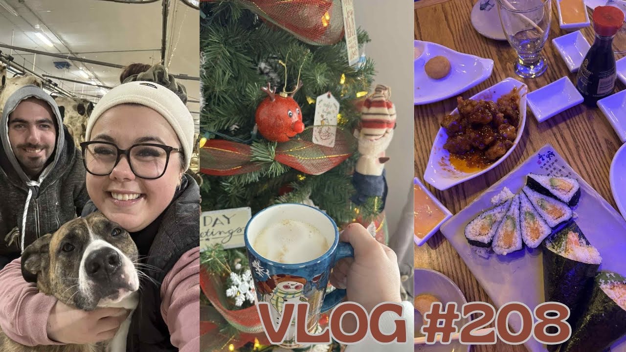 VLOG #208 - Cinéma, loisirs de Noël & outfit festif
