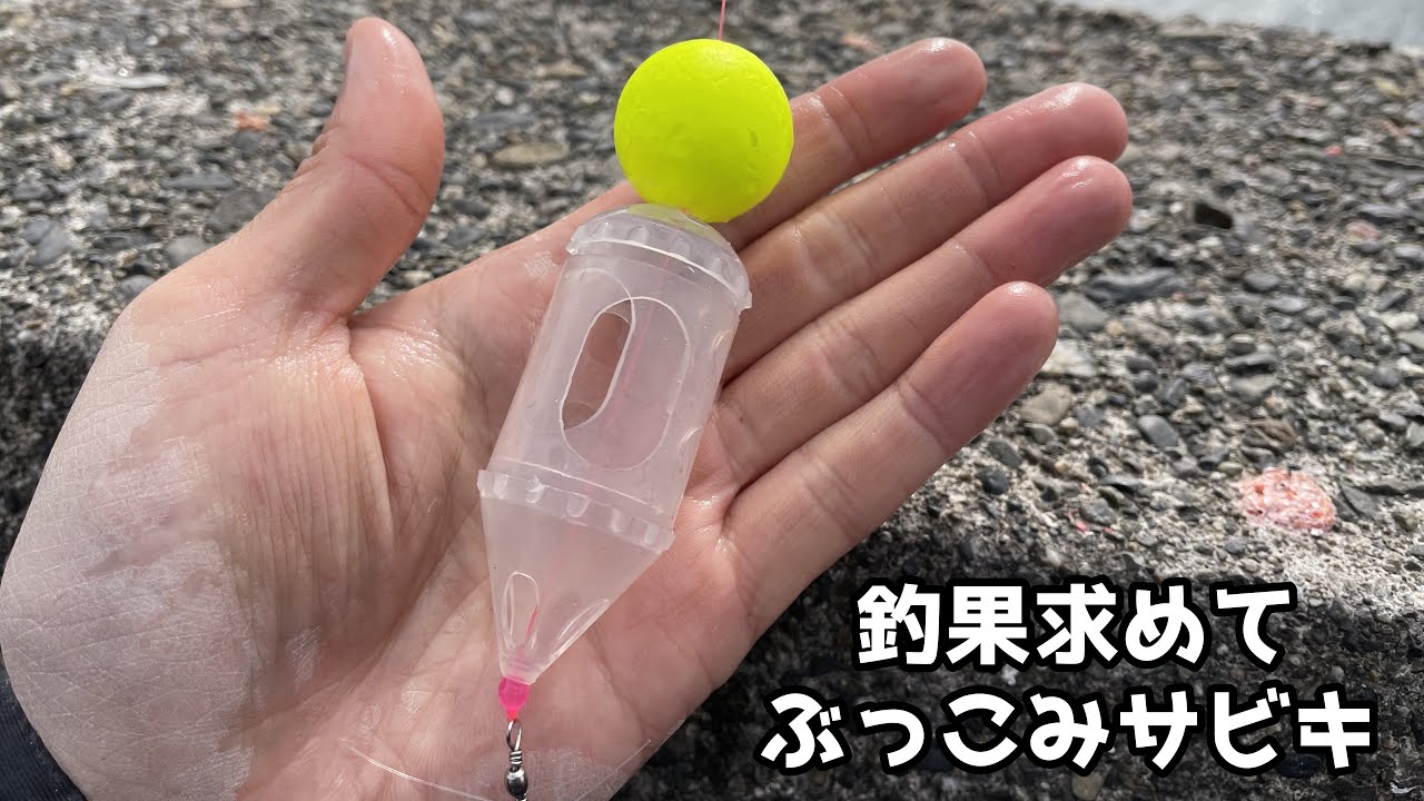 釣果求めてぶっこみサビキ
