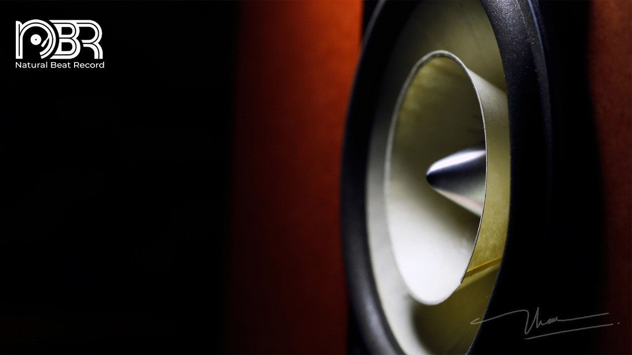 High Quality Music for Speaker Test - Greatest Audiophile 2026