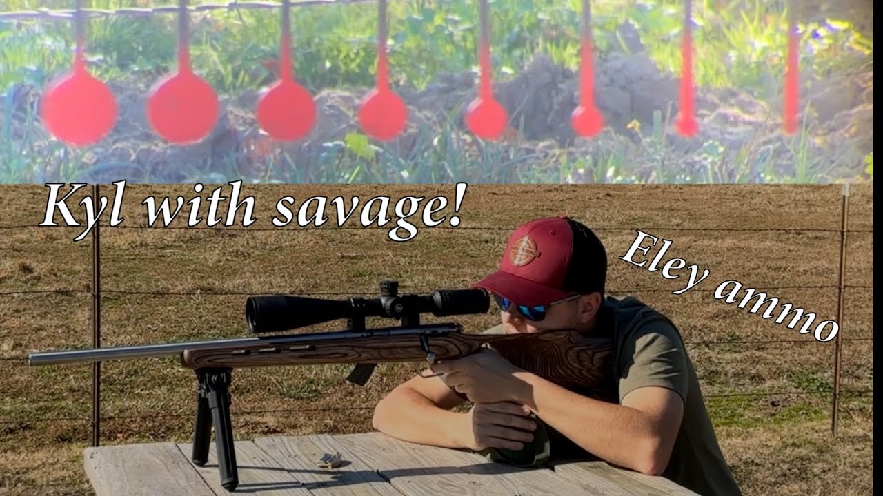 Know your limits target with the Savage mark 2 