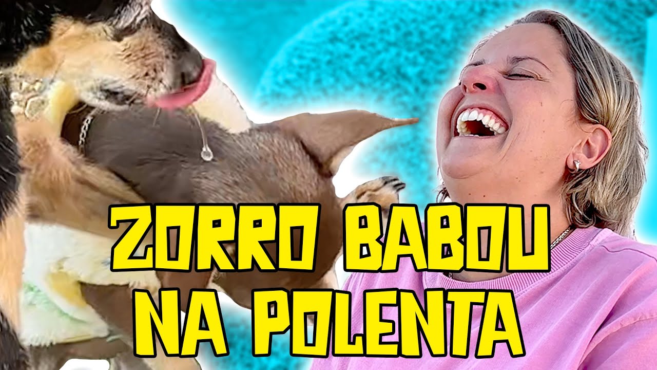 TESTEI FILTROS NA POLENTA e CRIEI BRINQUEDOS EM CASA PRA CACHORRO