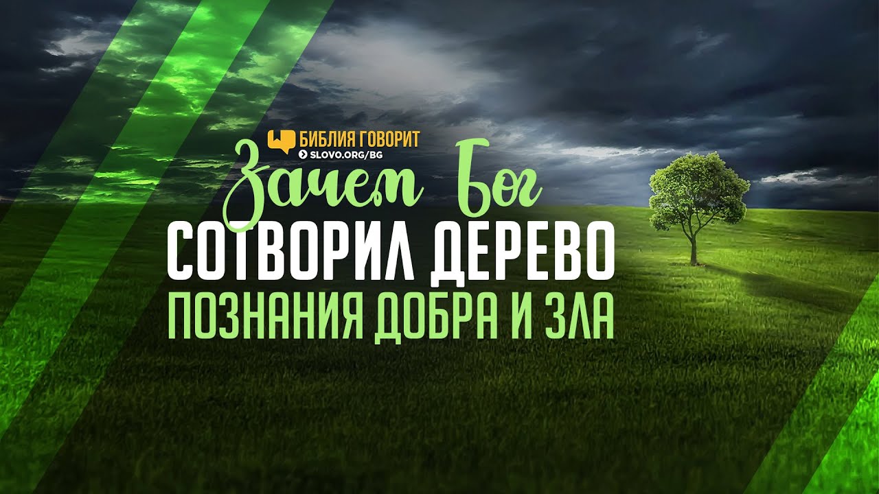 Зачем Бог сотворил дерево познания добра и зла? | 