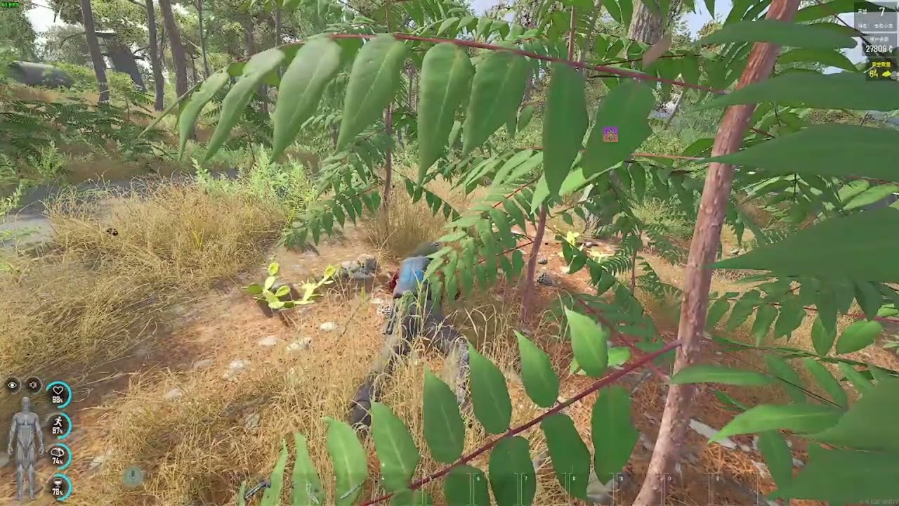 不过是运气罢了 开荒刀哥都说雕，咱们俗话说的好功夫再高也怕刀，没毛病老铁