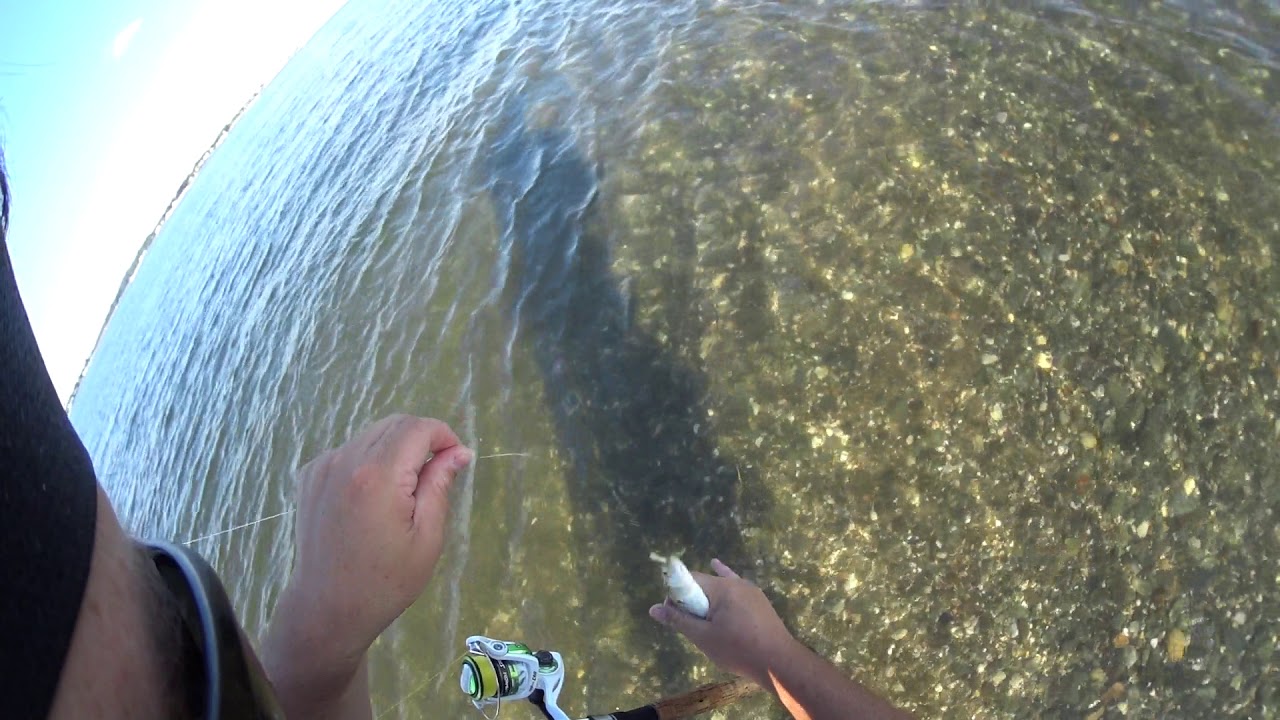 How To Catch Snapper Bluefish