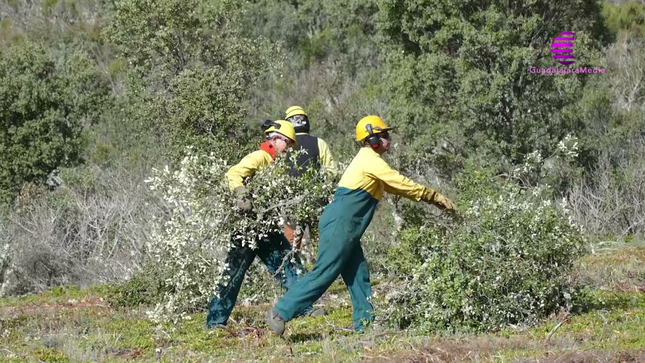 GEACAM recibe m&aacute;s de tres millones de euros para luchar contra los incendios