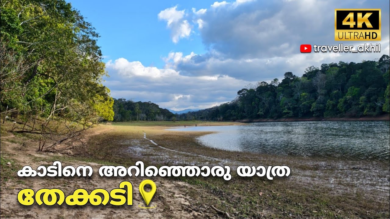 പ്രകൃതിയുടെ ശബ്ദങ്ങൾ കേട്ട് ഒരു യാത്ര | തേക്കടി | ഇടുക്കി