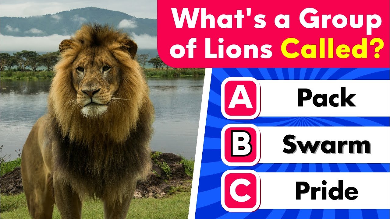 Hardest Animal Quiz Ever! 🐾 | 50 Questions That Will Blow Your Mind!