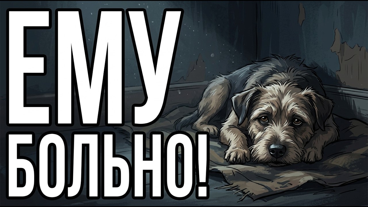 10 Вещей, Которые Собака Пытается Сказать Вам (Но Вы Игнорируете)