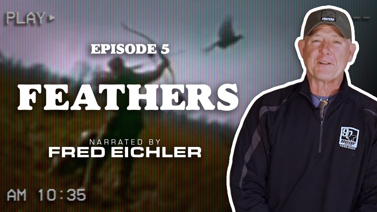 Feathers | Narrated by Fred Eichler