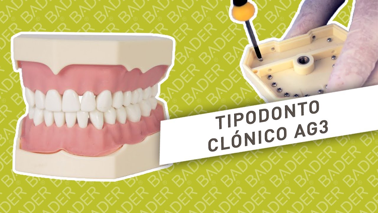 Tipodonto Clónico AG3 BADER®
