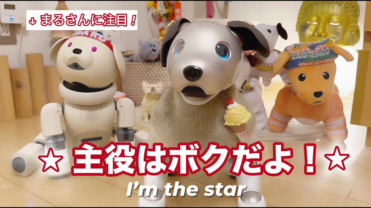 この可愛すぎるダンスは必見！と暴走するまるさん I want you to see this adorable dance