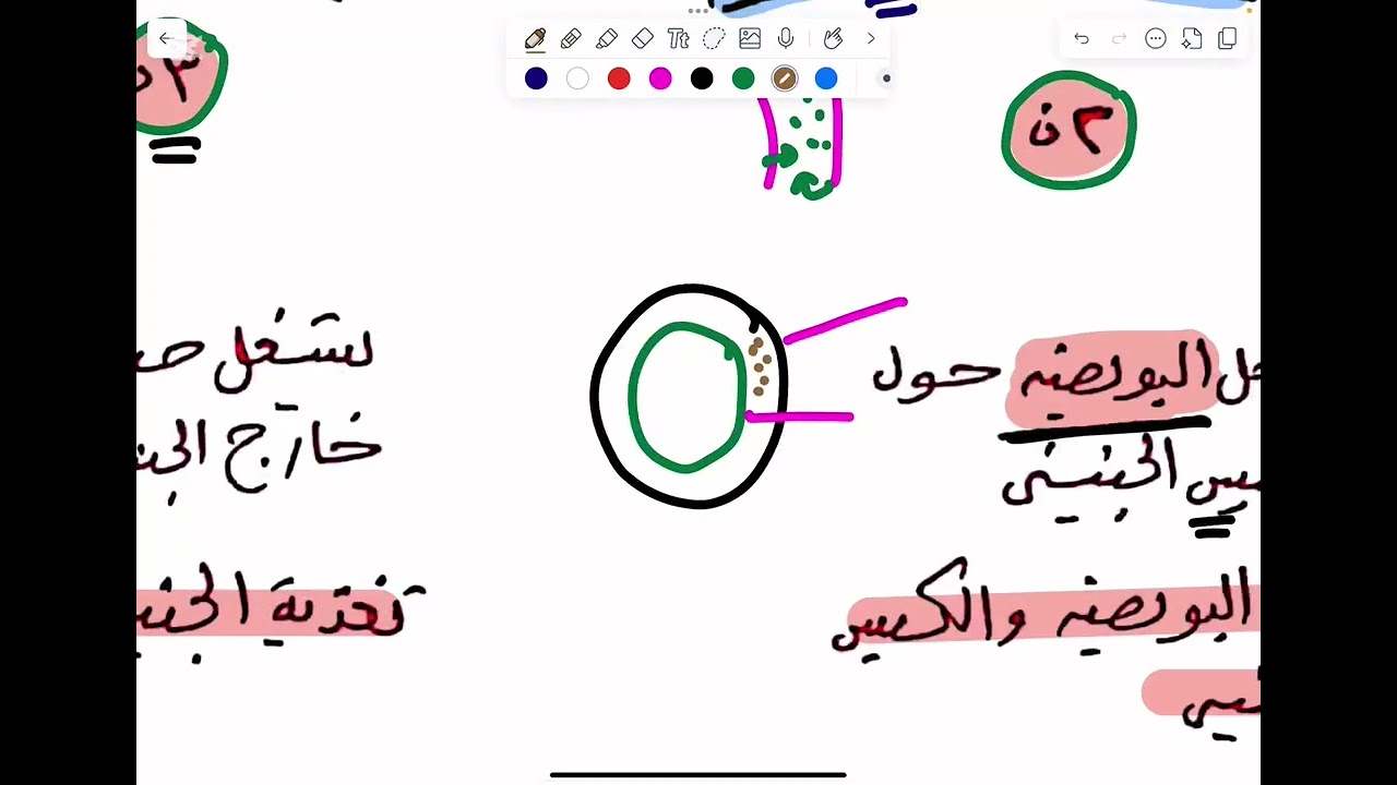 بعض افكار التكاثر  ف النباتات الزهريه  احياء الصف الثالث الثانوي
