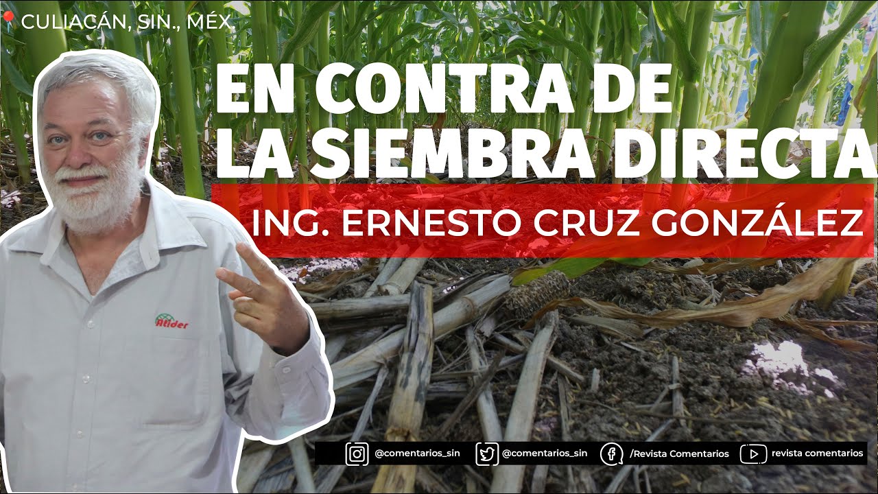 Opinión sobre la siembra directa | Ernesto Cruz González
