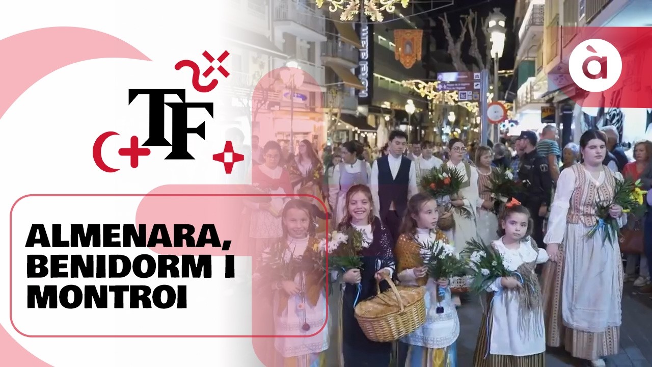 🎆 Terra de Festes | Almenara, Benidorm i Montroi | PROGRAMA COMPLET