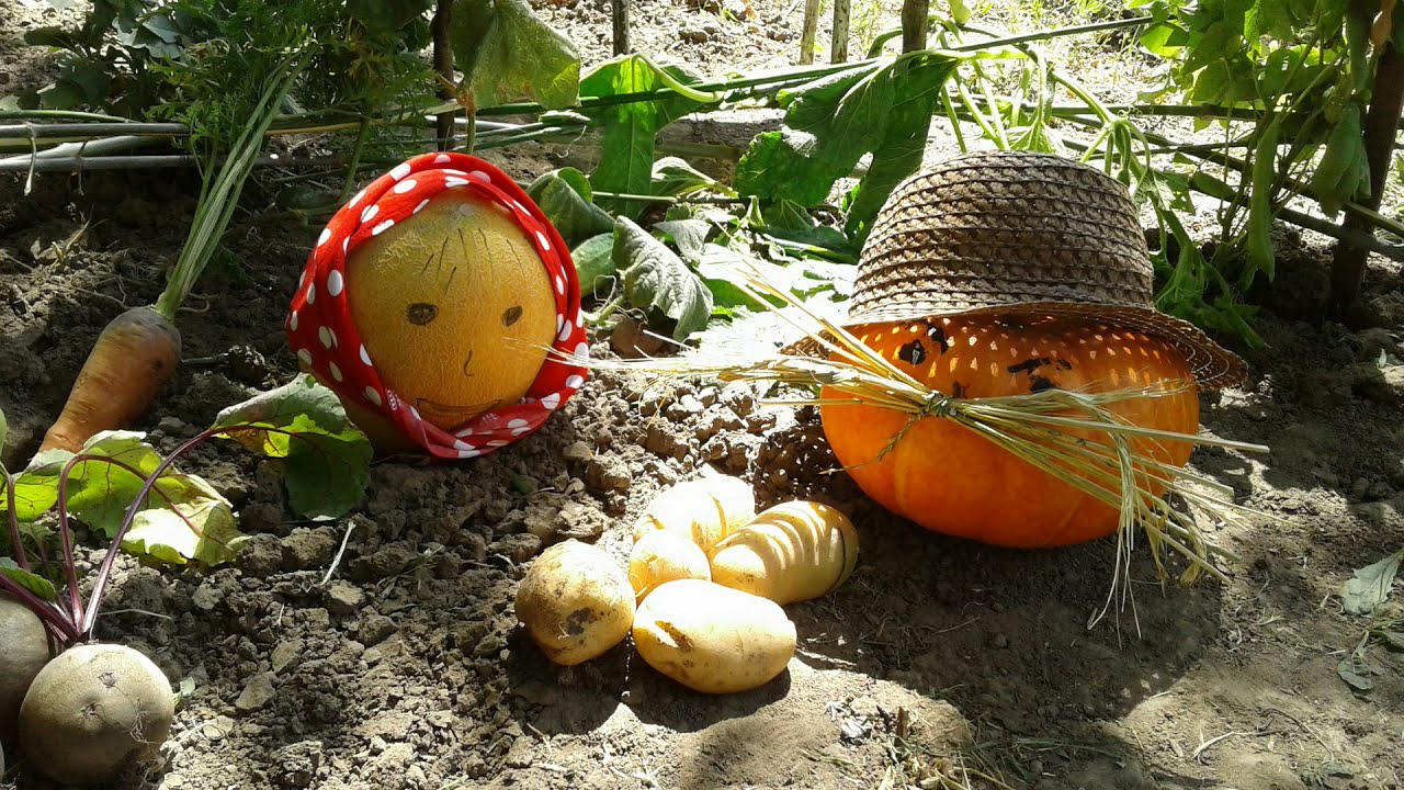 ХОДИТЬ ГАРБУЗ ПО ГОРОДУ. Українська народна казка / WALK PUMPKIN ON THE GARDEN. Ukrainian folk tale