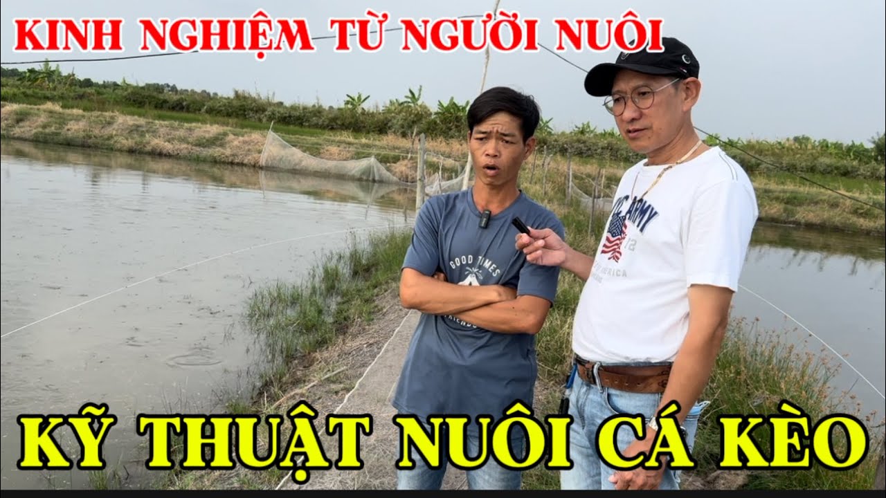 KỸ THUẬT NUÔI CÁ KÈO