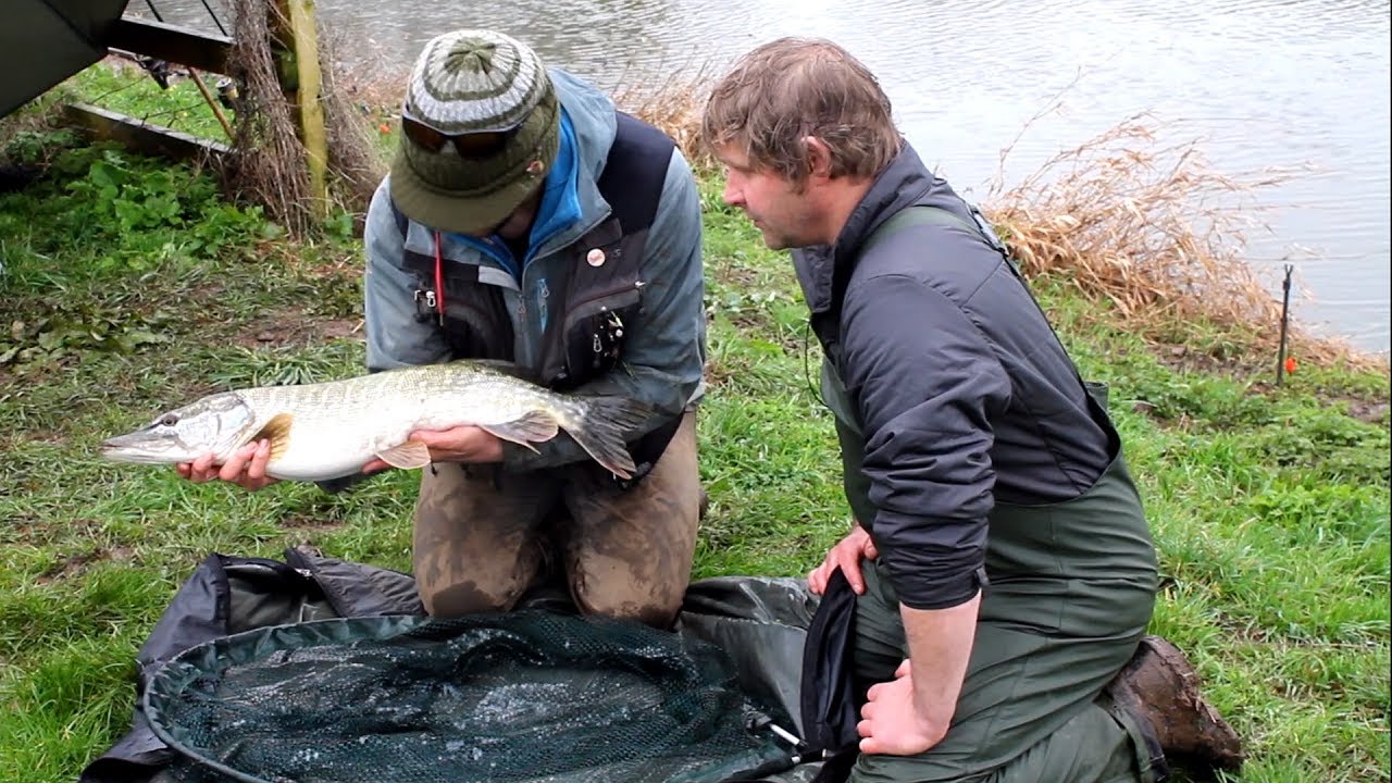 Pike Fishing on the Tone, Somerset