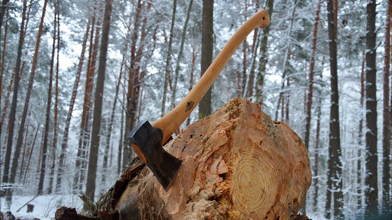 Валка дерева топором. Gransfors Scandinavian Forest Axe.