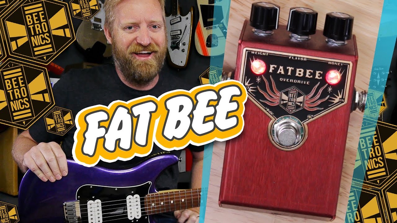 🐝 FAT BEE 🐝- a warm and dynamic overdrive from BEETRONICS - This is going on my board for sure 🐝