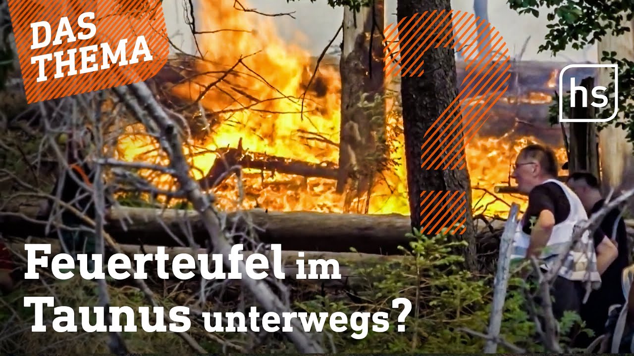 Waldbrandgefahr: Darum brennt es in Hessens Wäldern | hessenschau DAS THEMA