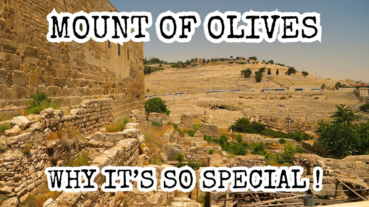 Mt. of Olives Overview Tour: Chapel of Ascension, Pater Noster Church, Dominus Flevit, Gethsemane