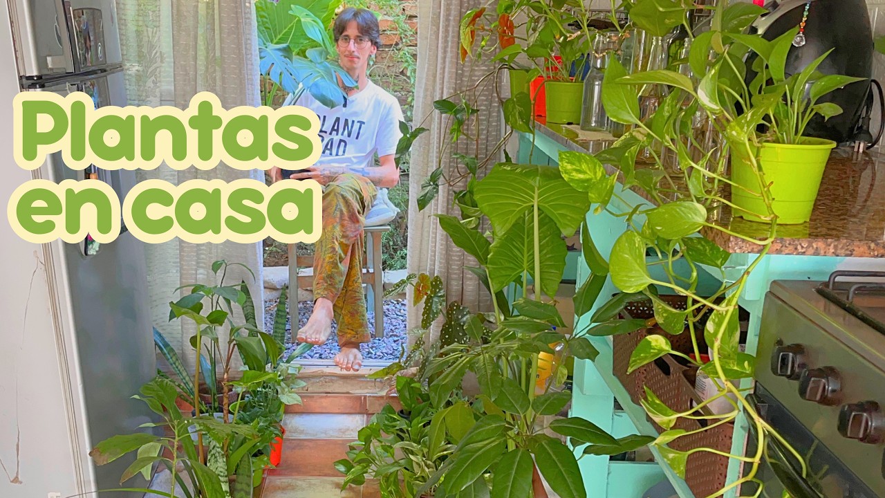 🌱 Cómo hacer esquejes: aprende a multiplicar tus plantas de interior 🌱 | Vlog
