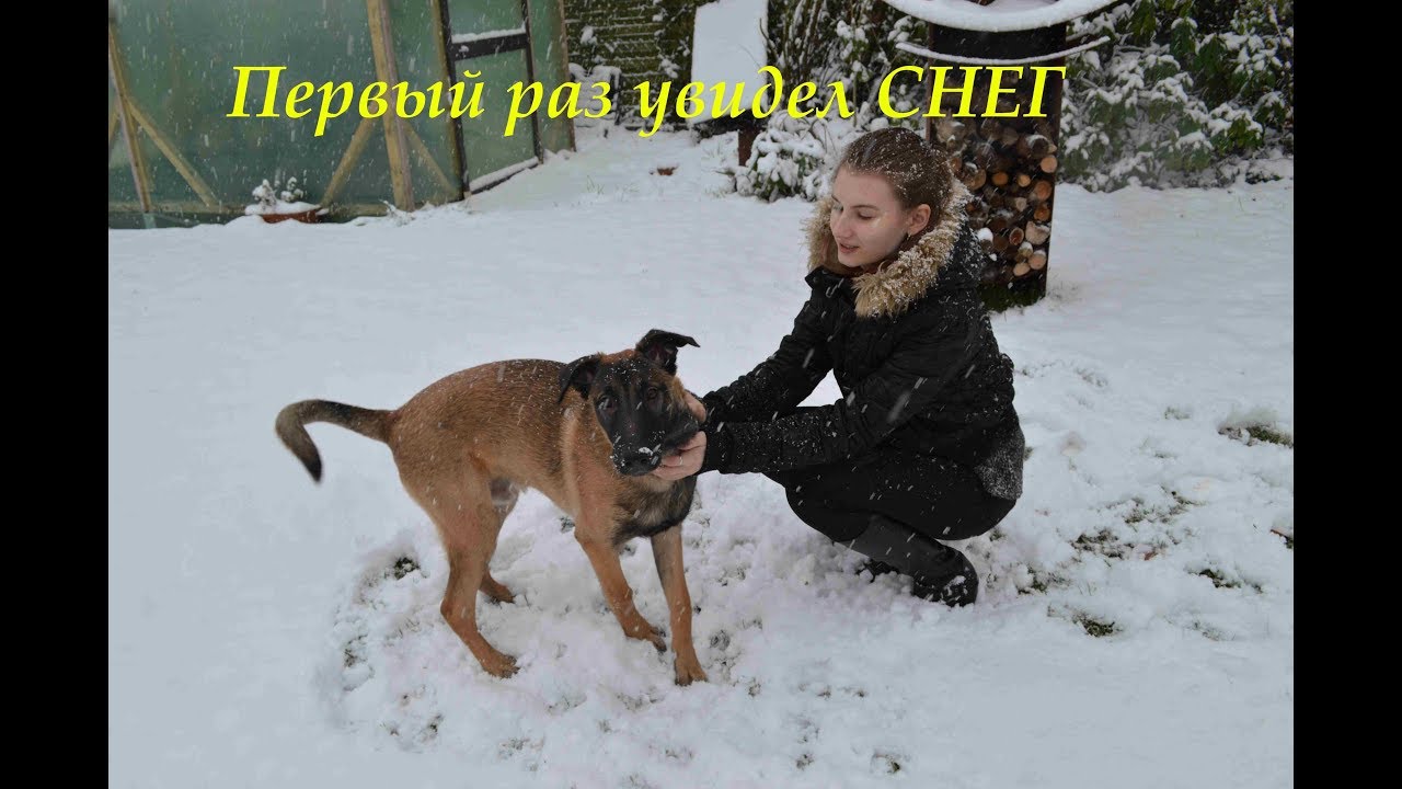VLOG: Малинуа видит первый раз в жизни СНЕГ
