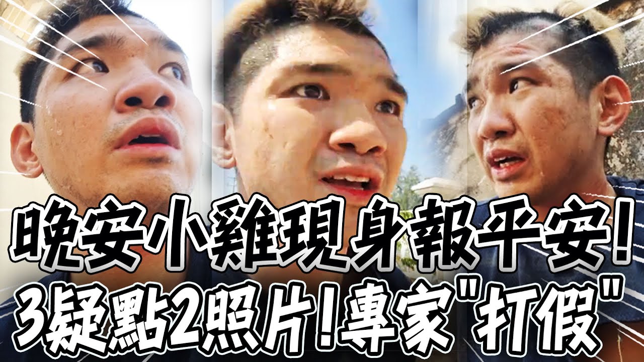 晚安小雞脫困直播報平安! 影片被揪出
