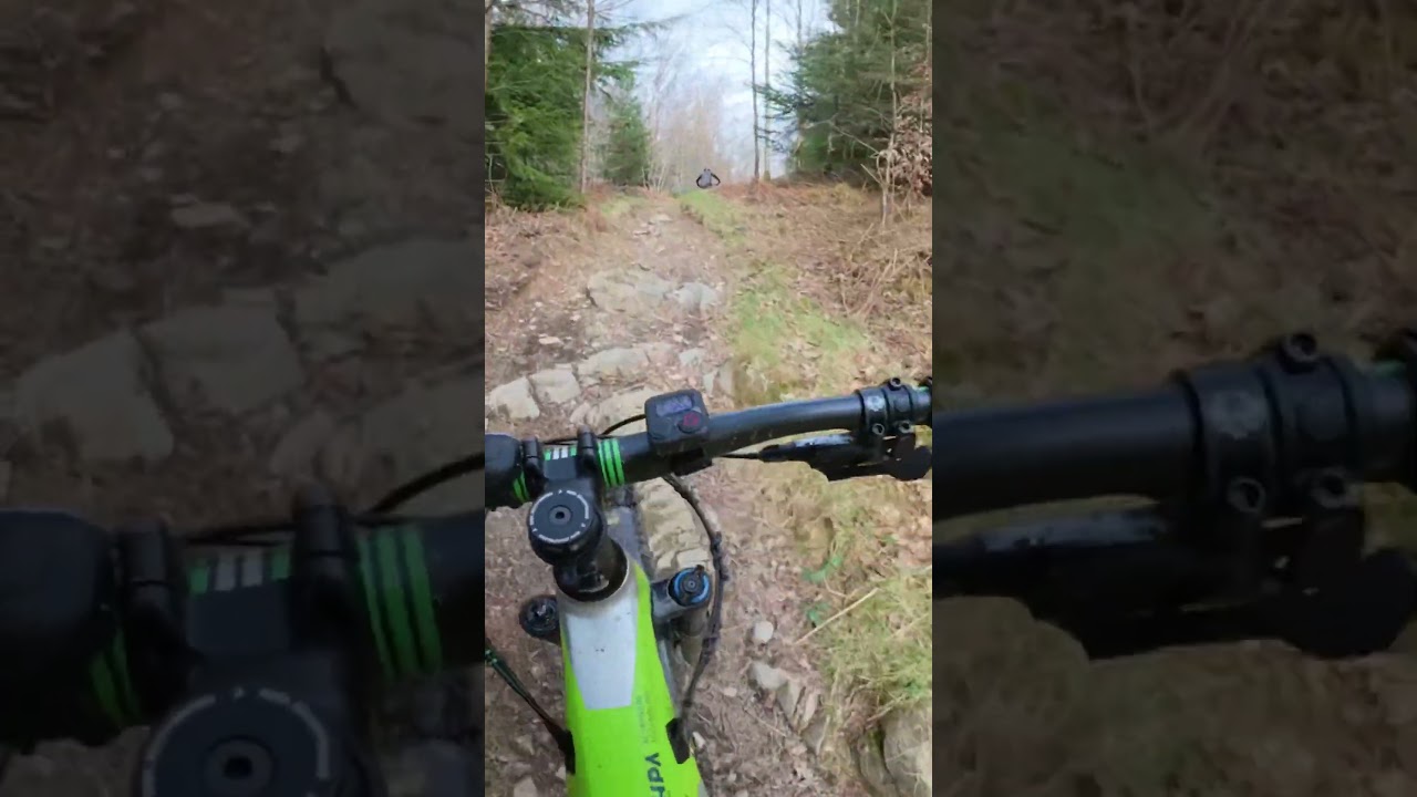 Insane Off-Piste Speed Run at Grizedale Forest! Fast & Wild MTB Descent! 
