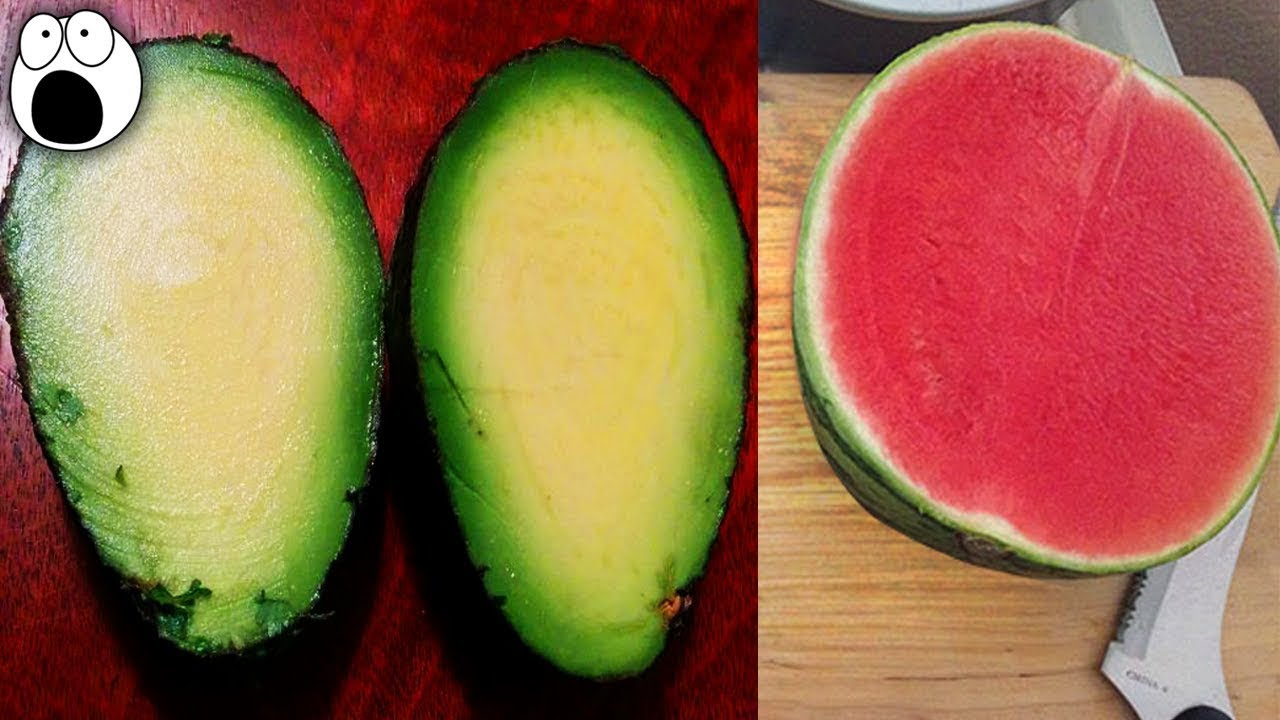 Lucky People Who Hit Jackpots and Won The Food Lottery